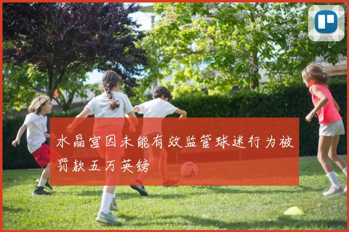 水晶宫因未能有效监管球迷行为被罚款五万英镑